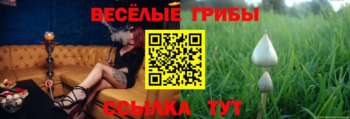 цена наркотик  Вход с VPN  Галлюциногенные грибы Psilocybe  Медногорск  Псилоцибиновые грибы мицелий 