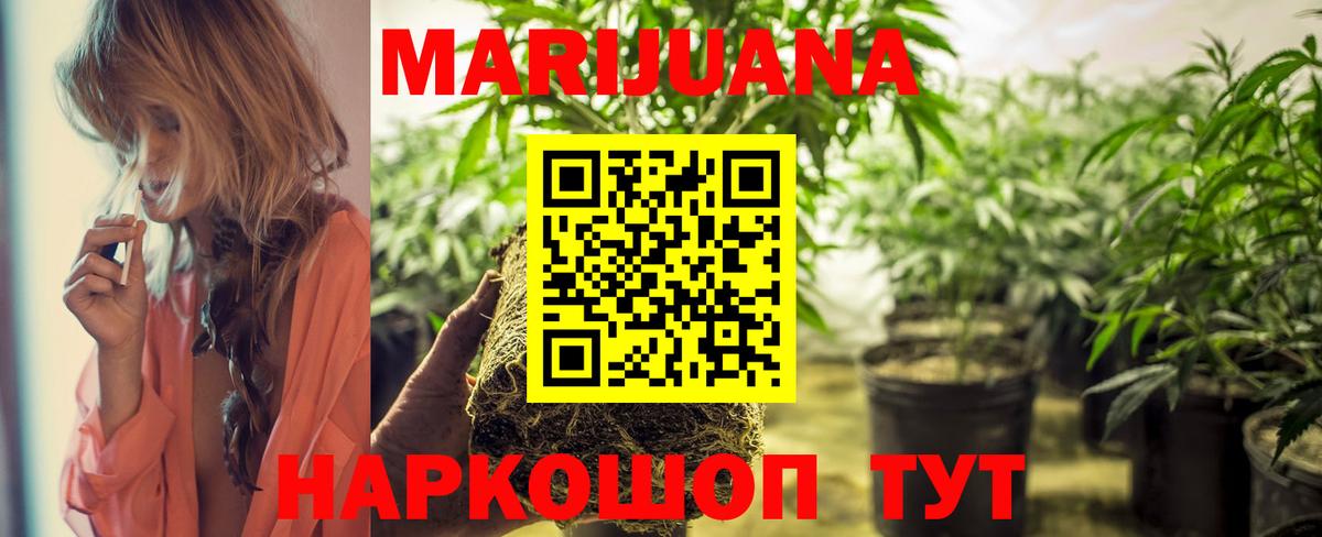Бошки Шишки план  Шишки марихуана VHQ  Медногорск  Вход с VPN  Шишки марихуана сатива 